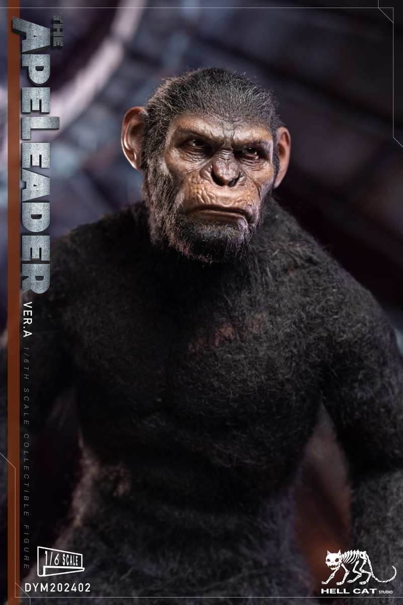 Hellcat 1/6 Ape Leader Figure DYM202402A