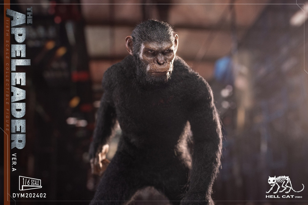 Hellcat 1/6 Ape Leader Figure DYM202402A