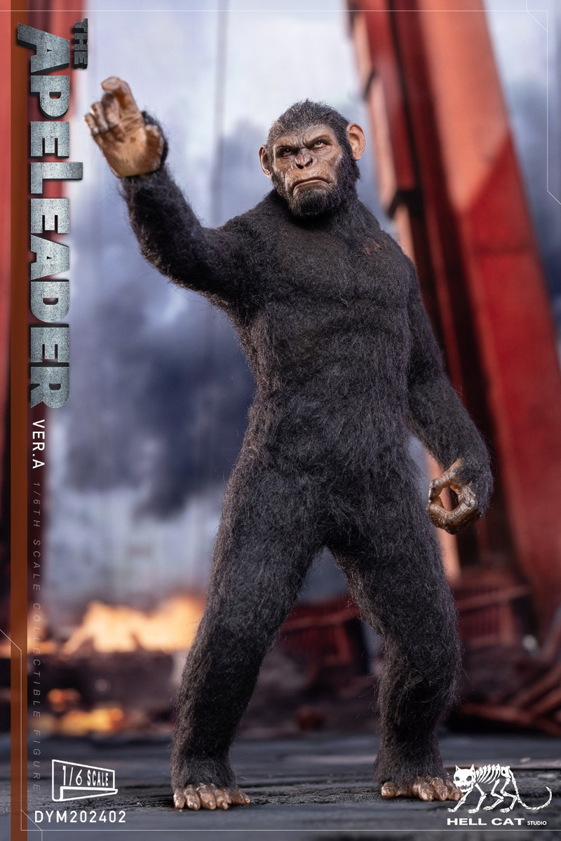 Hellcat 1/6 Ape Leader Figure DYM202402A
