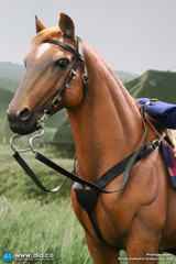 DID E60082 1/6 Brown-Red War Horse (Standing) 