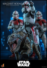  Hot Toys TMS167 1/6 Sergeant Hound Star Wars: The Clone Wars