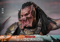Hot Toys Predator Badlands MMS849 accessories