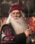 INART Albus Dumbledore 1/6 Collectible Figure - Front View