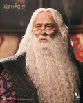 INART Dumbledore 1/6 Figure Rooted Hair and Magnetic Eyes Detail