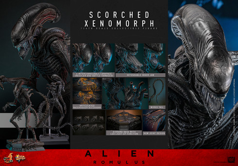 Hot Toys MMS784 Scorched Xenomorph 1/6 Scale Figure with LED Base
