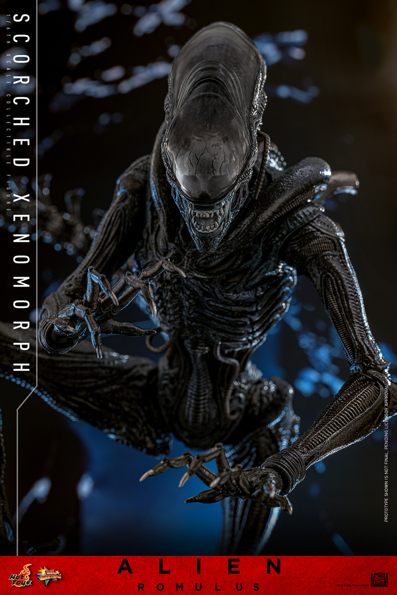 Hot Toys MMS784 Scorched Xenomorph 1/6 Figure - Alien: Romulus