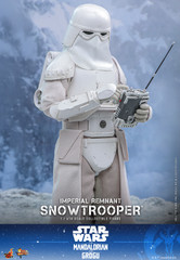 Hot Toys MMS838 Imperial Remnant Snowtrooper 1/6 Scale Figure Full Body