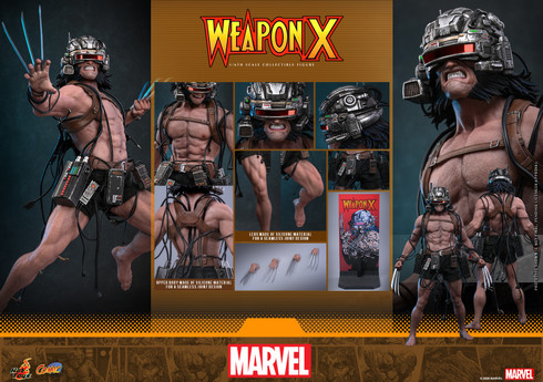 Hot Toys CMS034 Weapon X 1/6 Scale Figure - Marvel Comics Wolverine Logan
