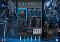 The Hot Toys Alien Warrior figure posed aggressively alongside the exclusive Deluxe version Ovomorph egg and hive tendrils base extension.