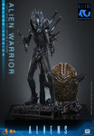 Hot Toys Aliens Alien Warrior Deluxe Version one sixth scale figure displaying the movie accurate ridged head sculpt and biomechanical body armour detailing.