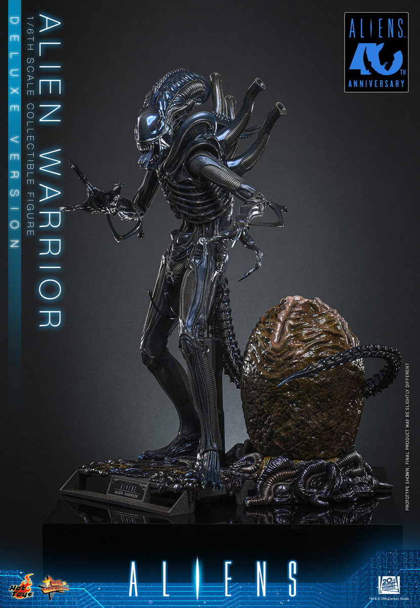 Hot Toys Alien Warrior Deluxe 1/6 Figure MMS899 | KGHobby