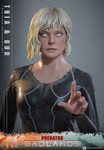 Image 16