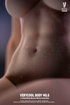 Close up detail of the platinum silicone torso and seamless joints on the VERYCOOL muscular action figure body