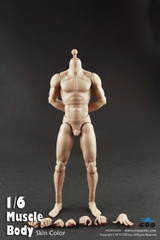 COOMODEL 1/6 Male Muscle Nude Action Figure Body-Extra Height