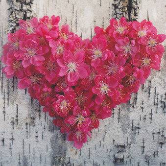 Red Flowers Heart Greeting Card - Madelene's Hearts