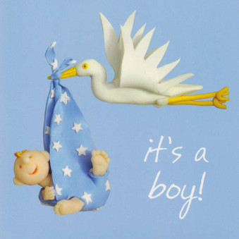 New Baby Boy Card - One Lump Or Two