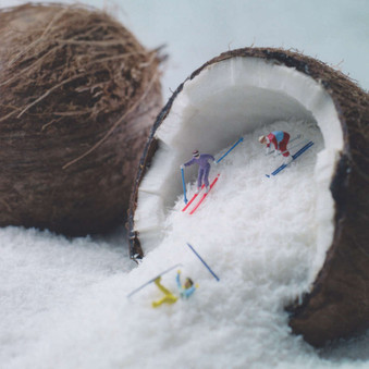 Coconut Skiers Greeting Card