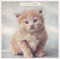 Lovely Niece's Birthday Card - Kitten