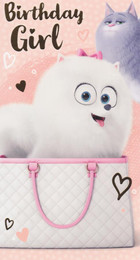 Secret Life Of Pets - Birthday Girl's Card