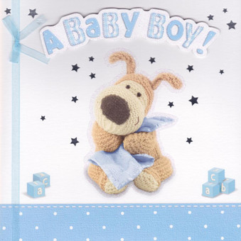 Boofle - Baby Boy's New Birth Card