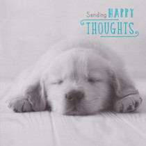 Sending Happy Thoughts Greeting Card