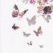 Stephanie Rose Contemporary Butterfly Card