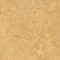 Van Gogh 3173