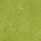 green 3247