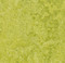 Forbo Marmoleum Decibel 322435 chartreuse