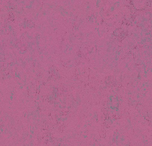 Forbo Marmoleum Concrete 3740 purple glow