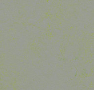 Forbo Marmoleum Concrete 3736 green shimmer