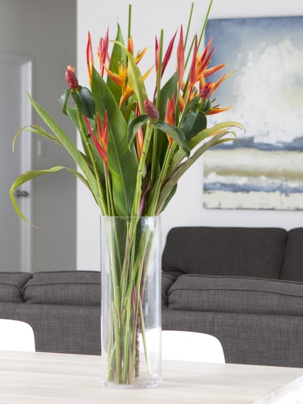office flowers shipping included tropical blooms office flowers