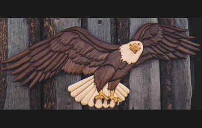 Wanted: Carving Pattern for Bellamy Style Eagle - DIYbanter