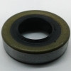 T15550 Oil Seal