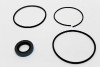 T456805 Seal Kit