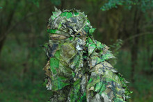 Both Draw Cords in Back, Veil  Tucked In