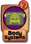 -button-bodysystems-v03b.png