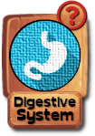 -button-digestivesystem-v3.png