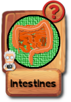 -button-intestines-v3.png