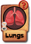 -button-lungs-v3.png