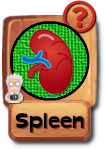 -button-spleen-v3.png
