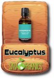 -skyorganics-eucalyptus.png
