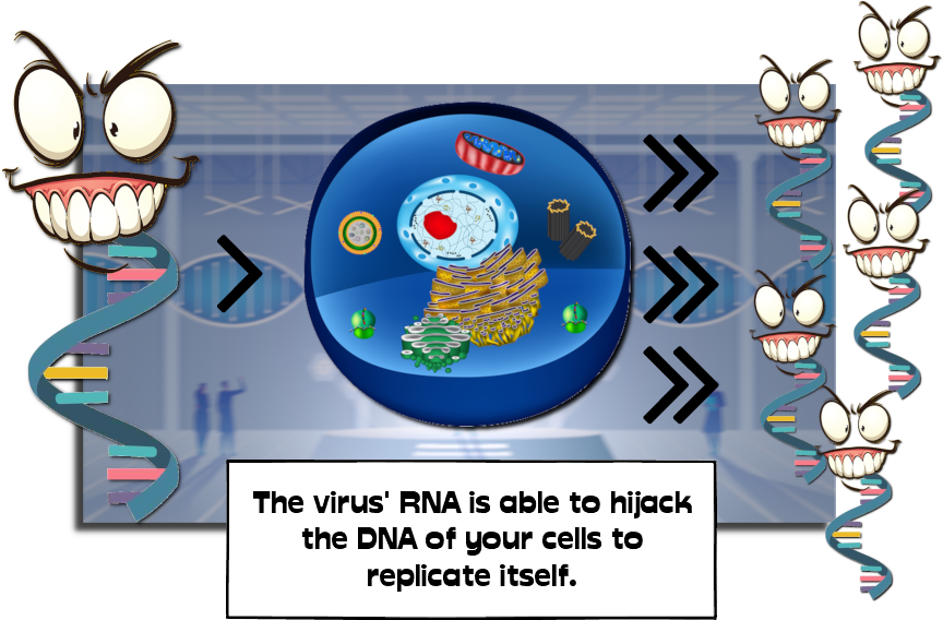 -virus-p09-07.png