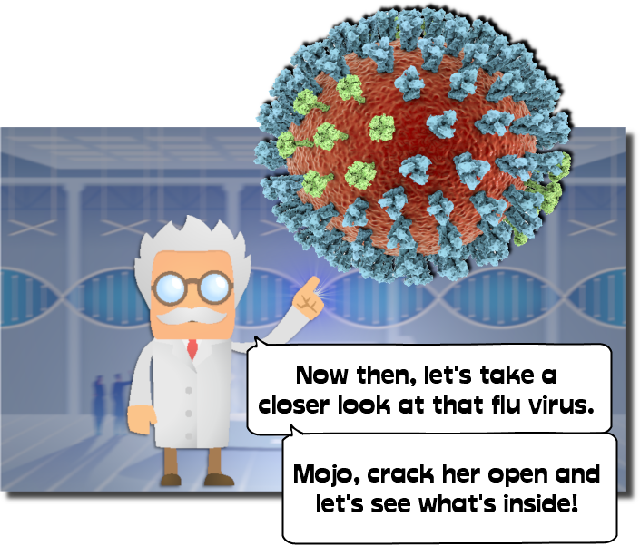-viruses-p03-01.png