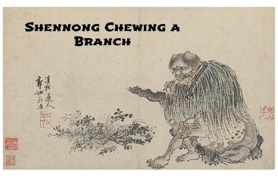 shennongchewsbranch-1-.jpg