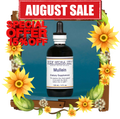 Pure Herbs: Mullein