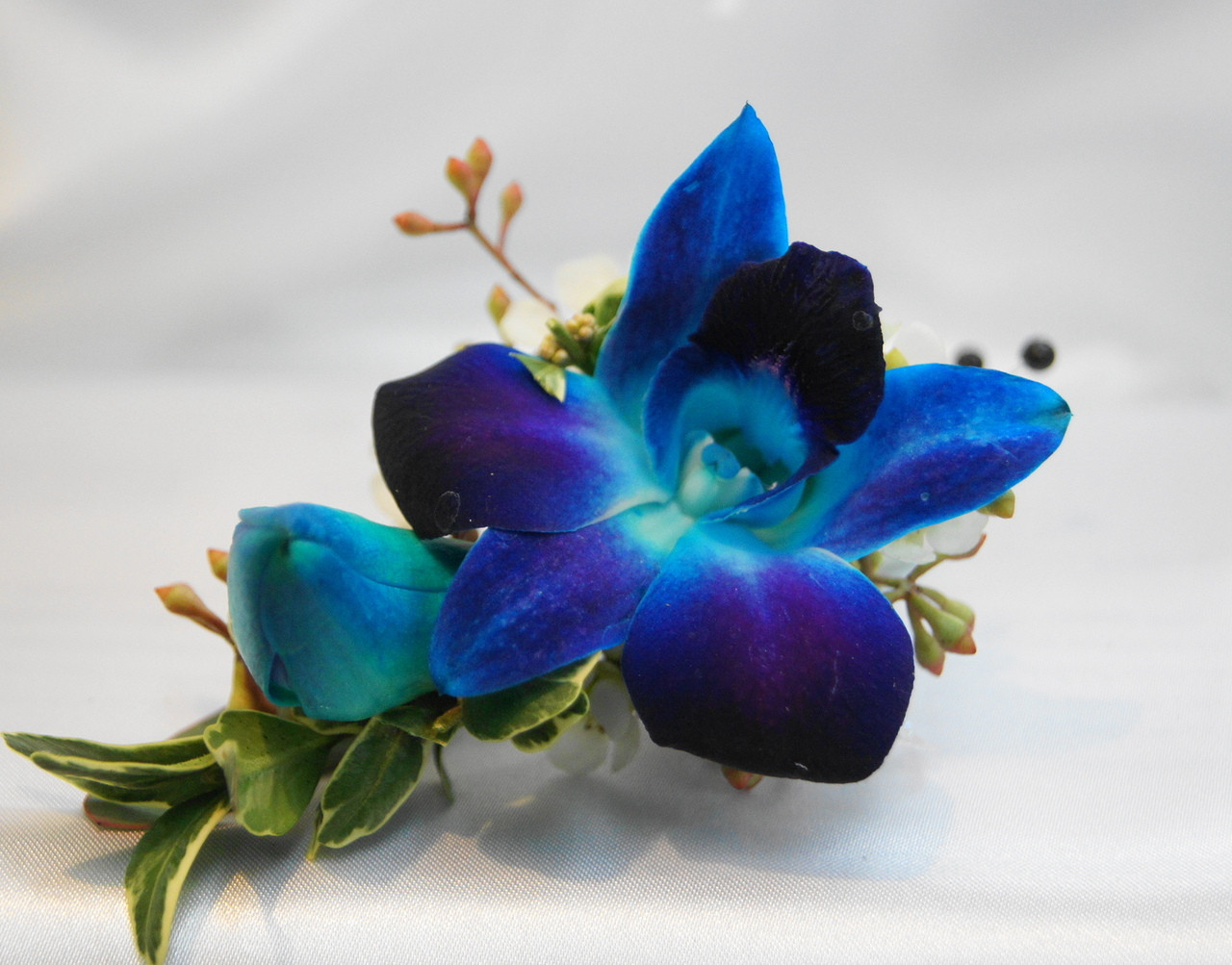 blue_orchid_bout__75545.1410073795.1280.