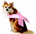 Breast Cancer Awareness Pink Ribbon Pet Costume Small 