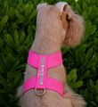 Pink Sapphire Giltmore Three Row Swarovski Crystal Ultrasuede Tinkie Harness