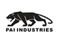 PKG OF 5 PAI CUMMINS S-16255RING, RETAINING 042060